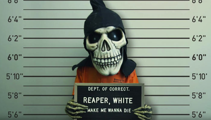 White-Reaper-Make_Me_Wanna_Die-vid-700x400.jpg