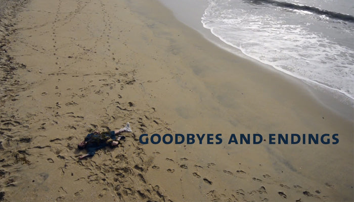 Dodos-Goodbyes_Endings-Vid-700x400.jpg