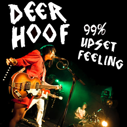 1019__05719_Deerhoof_99_Upset_Feeling-Final2-422.jpg