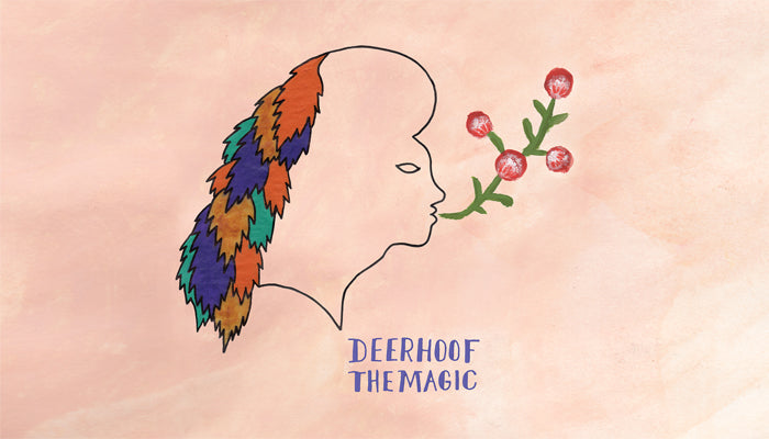 Deerhoof-The-Magic-700x400.jpg