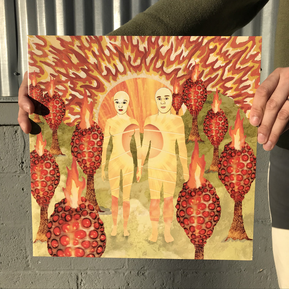 of Montreal - The Sunlandic Twins LP Jacket