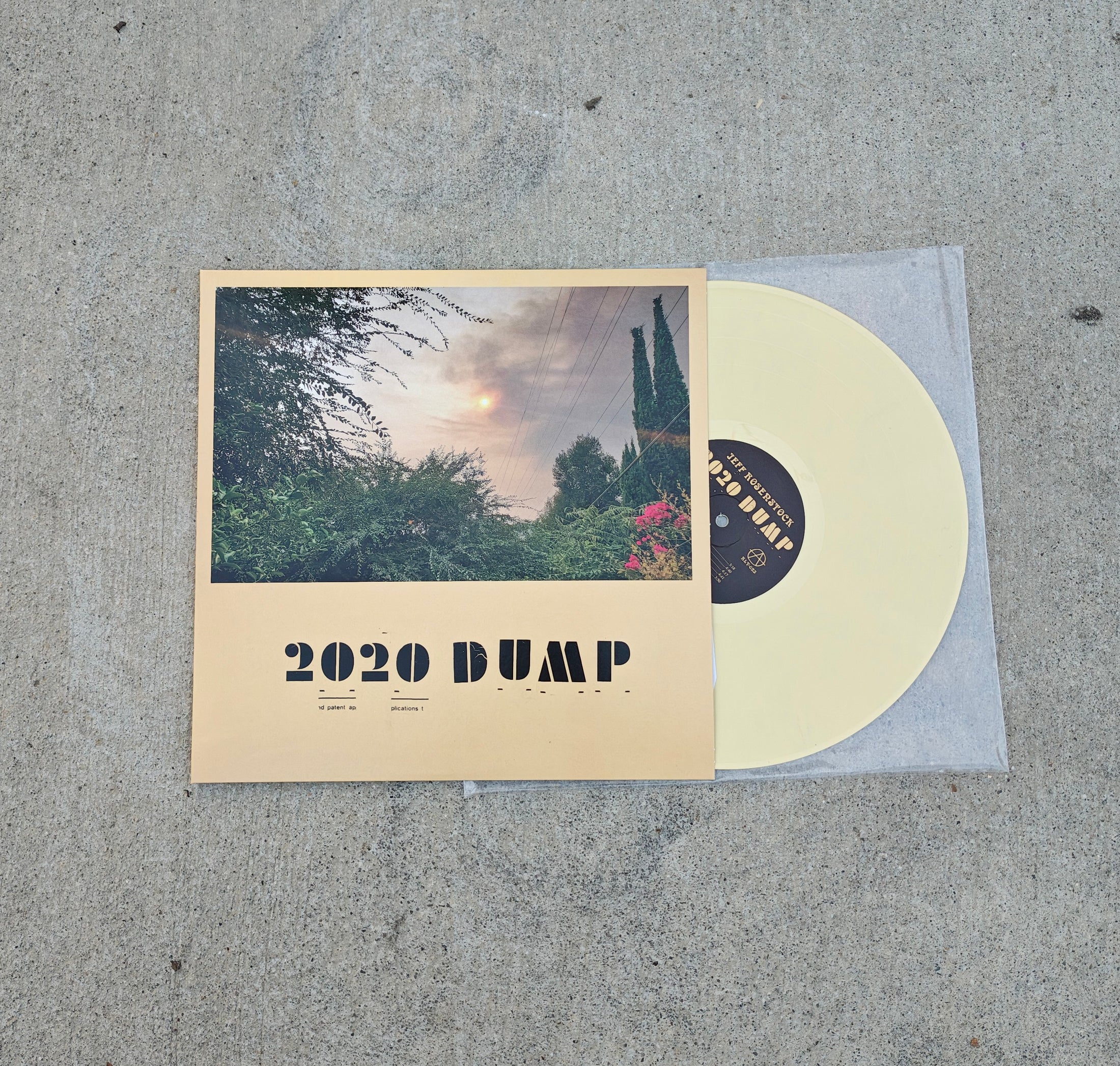 Jeff Rosenstock - 2020 DUMP