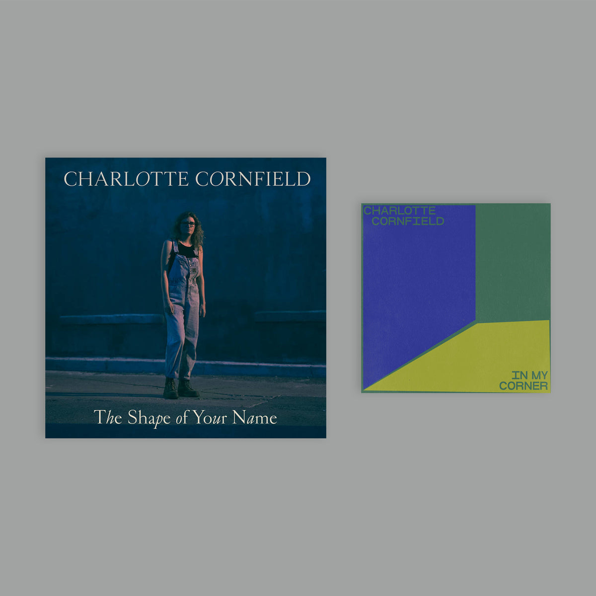 Charlotte Cornfield - The Shape of Your Name