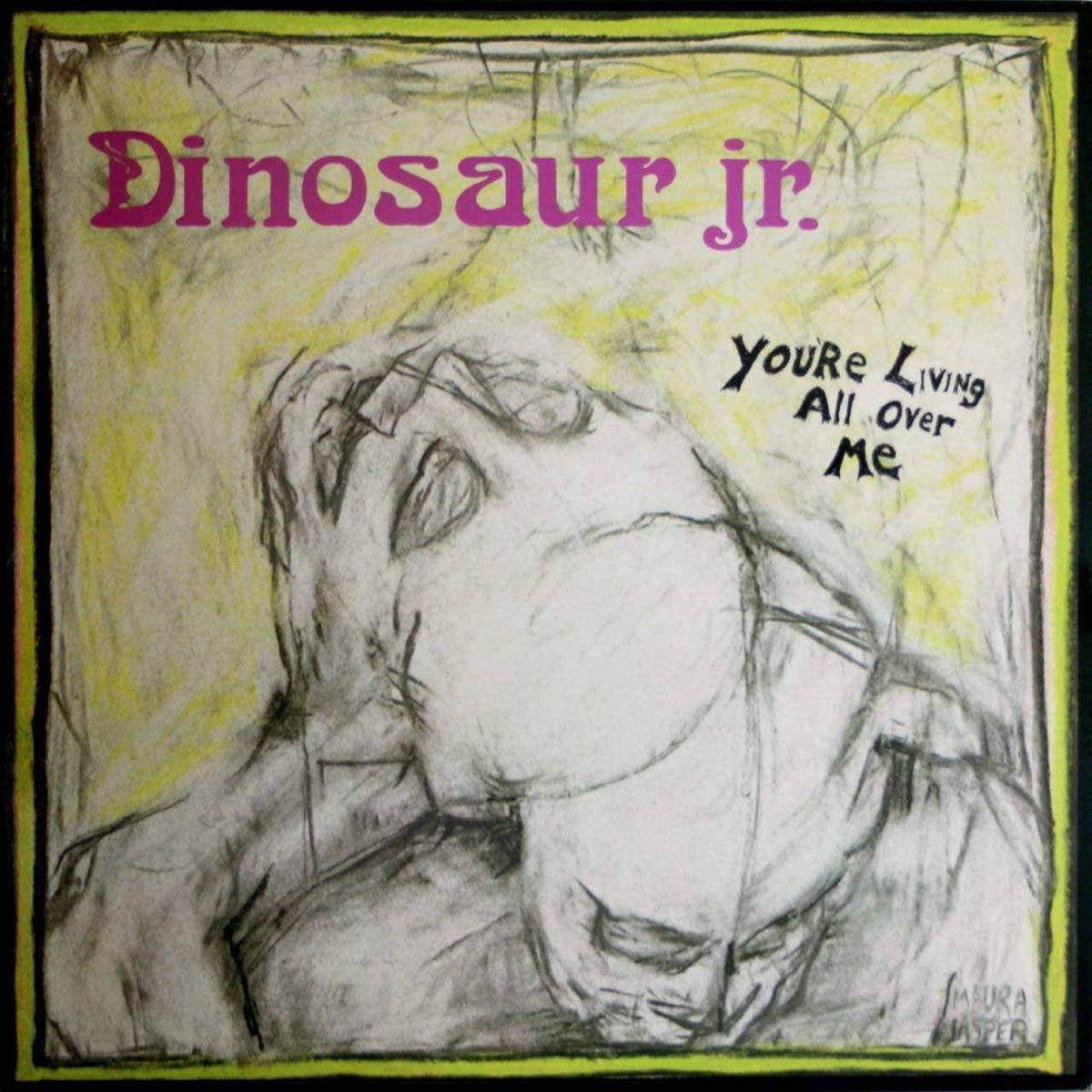 Dinosaur Jr. - You're Living All Over Me