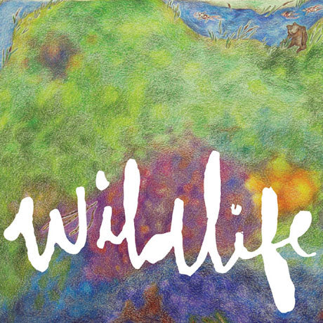 Headlights - Wildlife