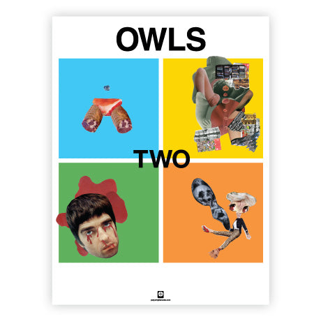 Owls - Owls Poster (18x24)