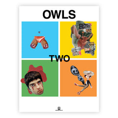 Owls - Owls Poster (18x24)