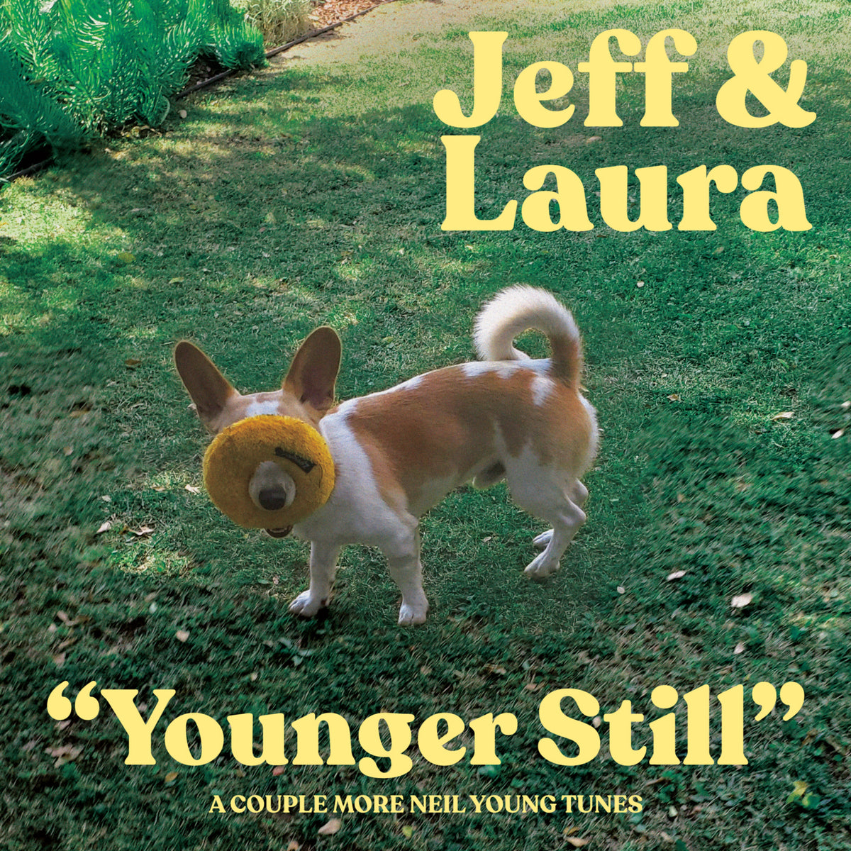 Jeff Rosenstock & Laura Stevenson - Younger Still