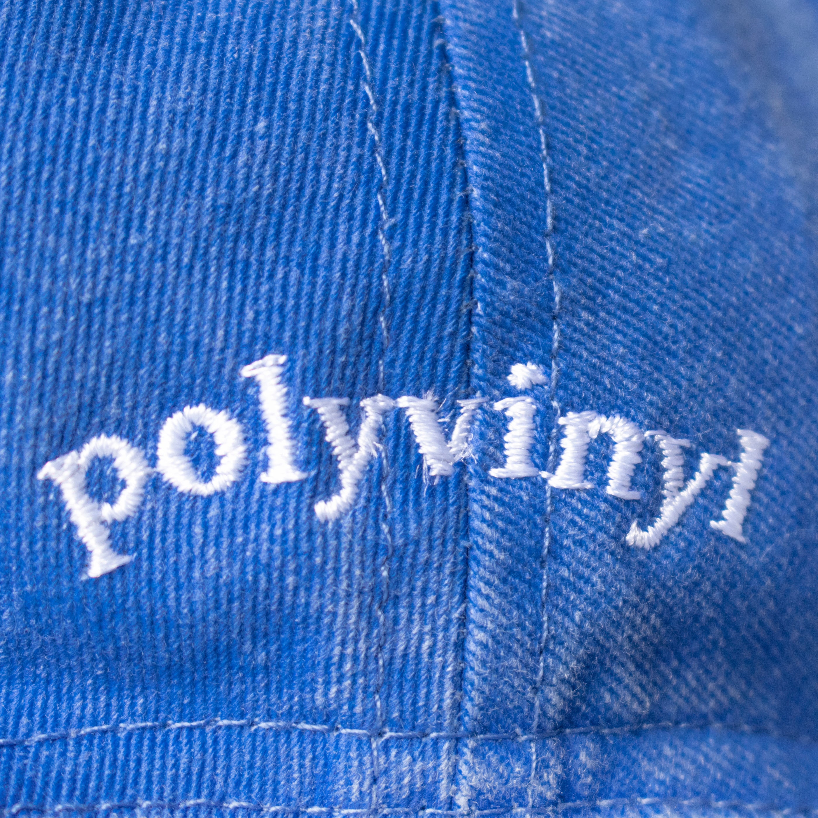 Polyvinyl - Polyvinyl Minimalist Logo Hat (Royal Blue)