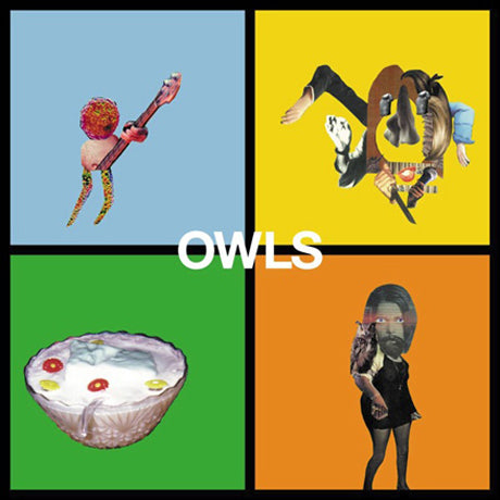 Owls - Owls