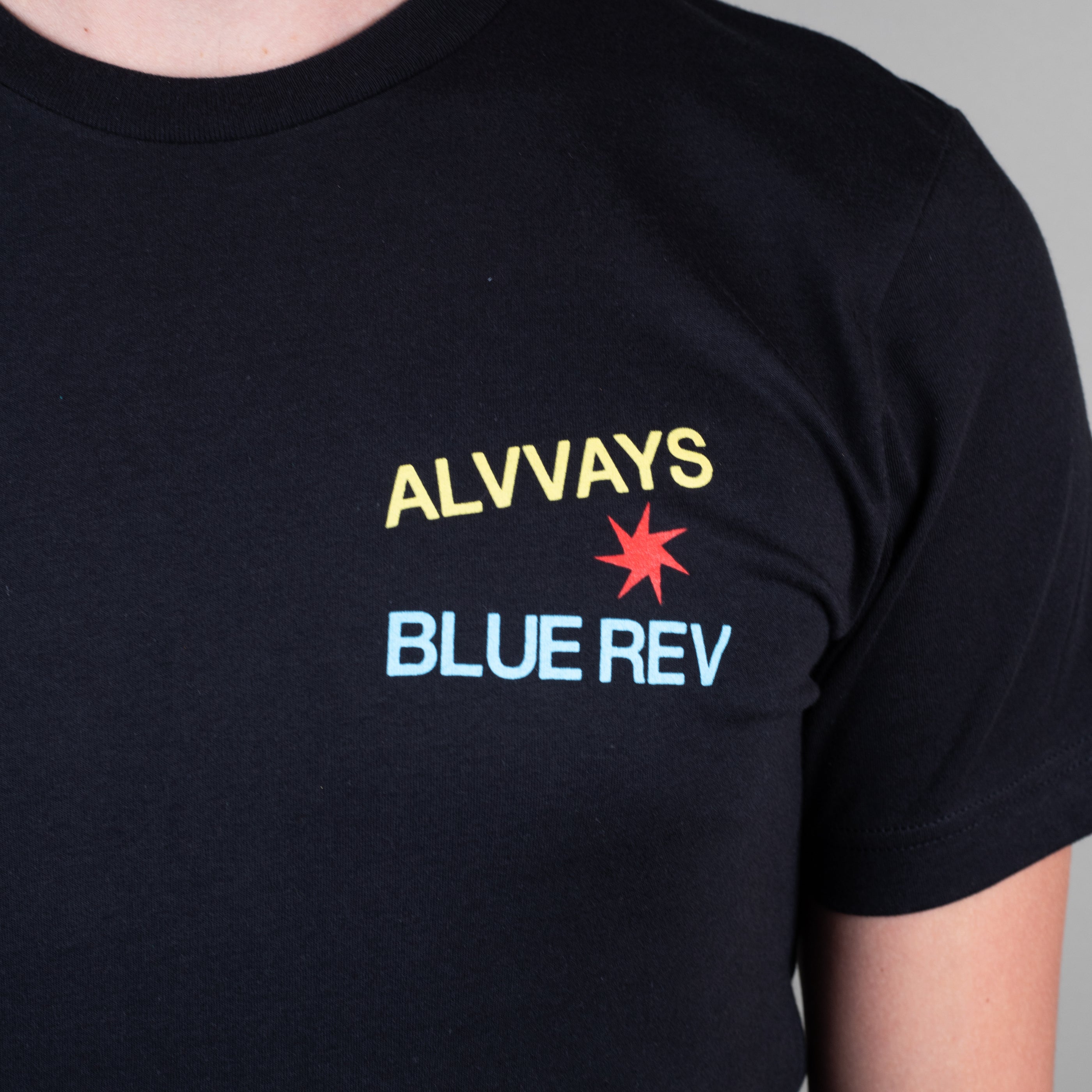 Alvvays - Rose T-Shirt