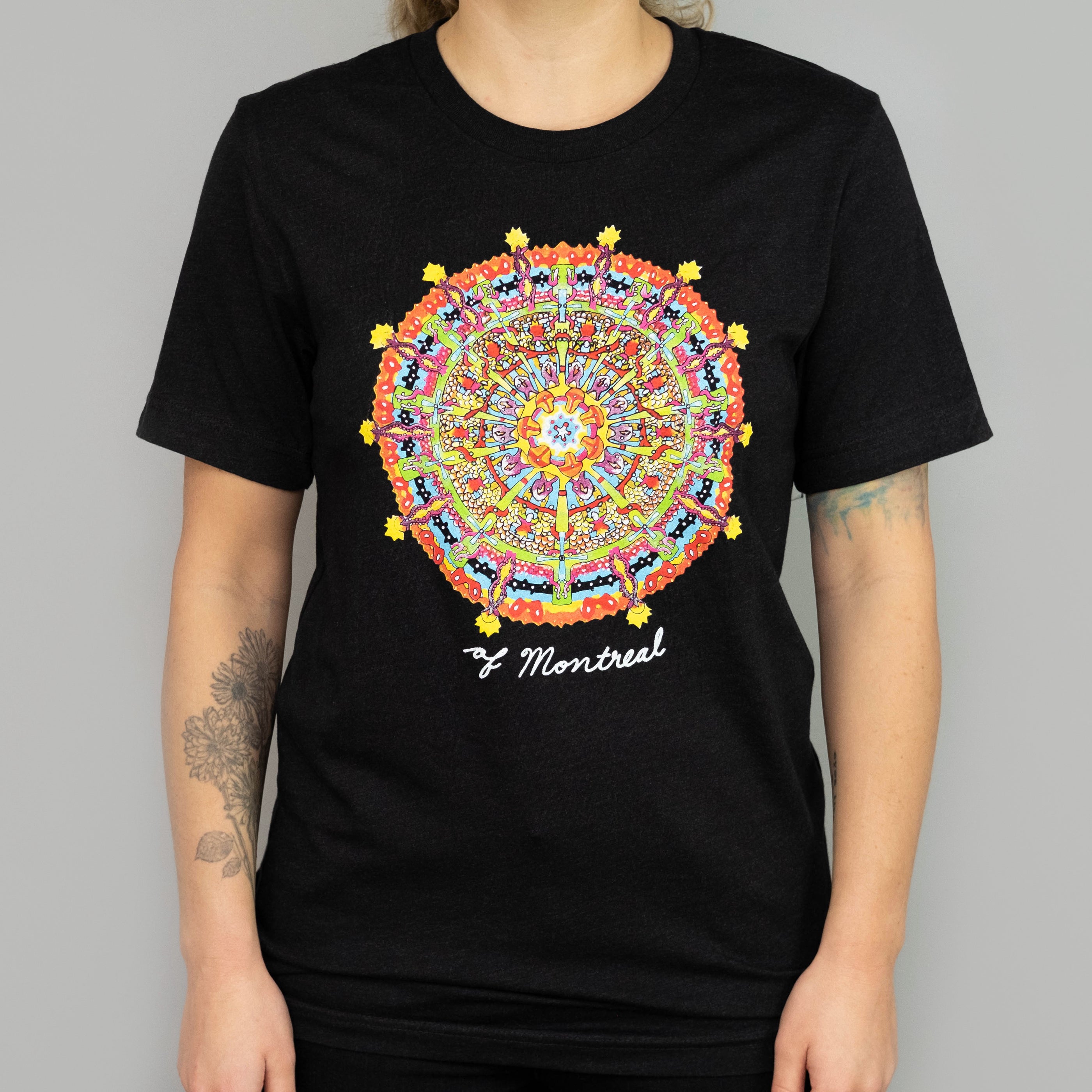 of Montreal - Hissing Fauna, Are You the Destroyer? T-Shirt