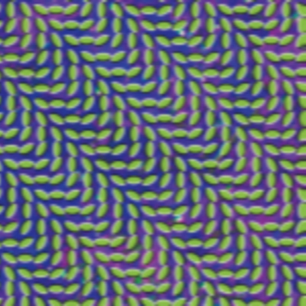 Animal Collective - Merriweather Post Pavilion