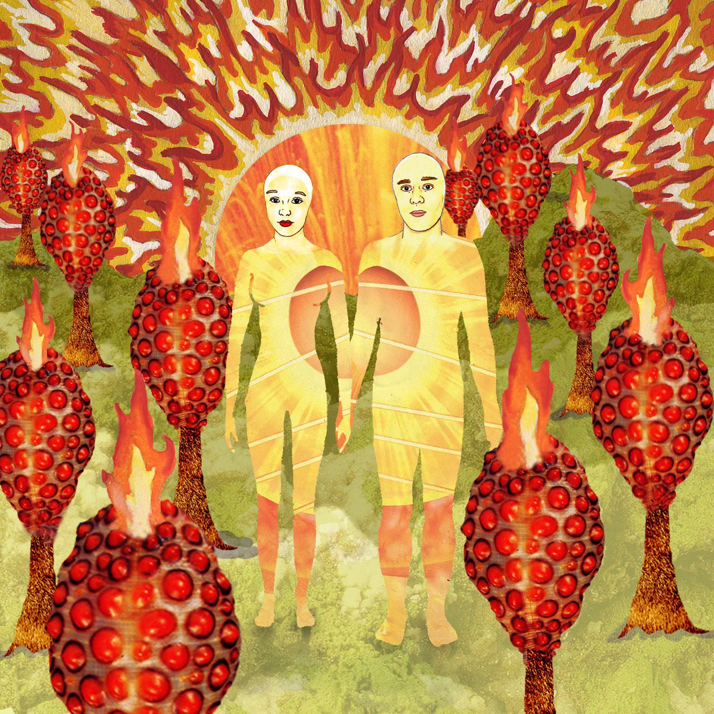 of Montreal - The Sunlandic Twins (20th Anniversary Edition)