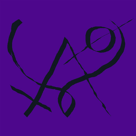 Xiu Xiu - Girl with Basket of Fruit LP Jacket